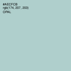 #AECFCB - Opal Color Image