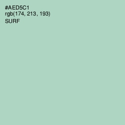 #AED5C1 - Surf Color Image