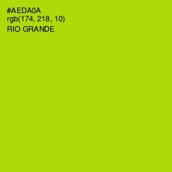 #AEDA0A - Rio Grande Color Image
