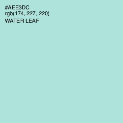 #AEE3DC - Water Leaf Color Image