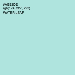 #AEE3DE - Water Leaf Color Image