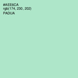 #AEE6CA - Padua Color Image