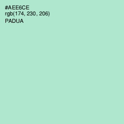 #AEE6CE - Padua Color Image