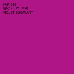 #AF1586 - Violet Eggplant Color Image