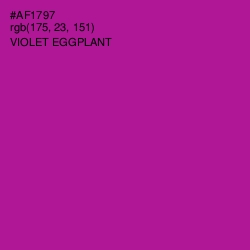 #AF1797 - Violet Eggplant Color Image