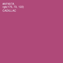 #AF497A - Cadillac Color Image