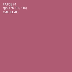 #AF5B74 - Cadillac Color Image