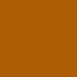 #AF5D04 - Rich Gold Color Image