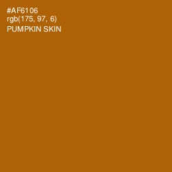 #AF6106 - Pumpkin Skin Color Image