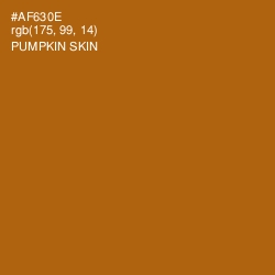 #AF630E - Pumpkin Skin Color Image