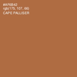 #AF6B42 - Cape Palliser Color Image