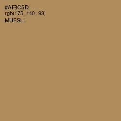 #AF8C5D - Muesli Color Image