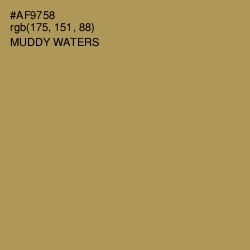 #AF9758 - Muddy Waters Color Image