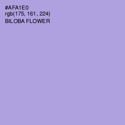 #AFA1E0 - Biloba Flower Color Image