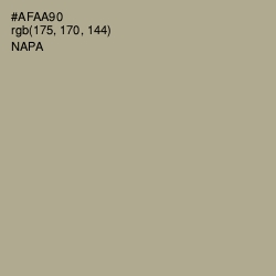 #AFAA90 - Napa Color Image