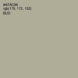 #AFAC98 - Bud Color Image