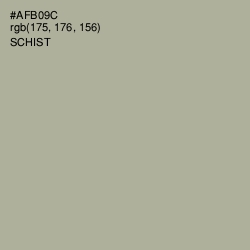 #AFB09C - Schist Color Image