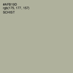 #AFB19D - Schist Color Image