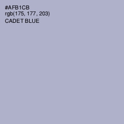 #AFB1CB - Cadet Blue Color Image