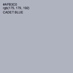 #AFB3C0 - Cadet Blue Color Image