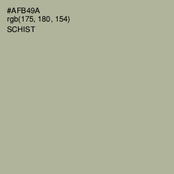 #AFB49A - Schist Color Image