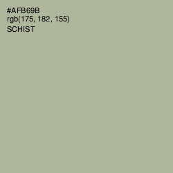 #AFB69B - Schist Color Image