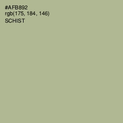 #AFB892 - Schist Color Image