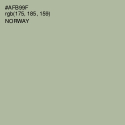#AFB99F - Norway Color Image