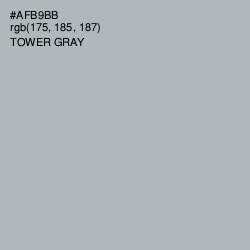 #AFB9BB - Tower Gray Color Image