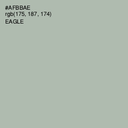 #AFBBAE - Eagle Color Image