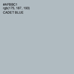 #AFBBC1 - Cadet Blue Color Image