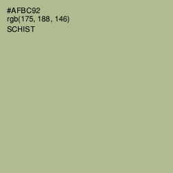 #AFBC92 - Schist Color Image