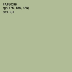 #AFBC96 - Schist Color Image