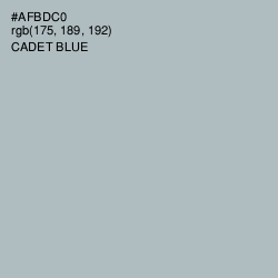 #AFBDC0 - Cadet Blue Color Image