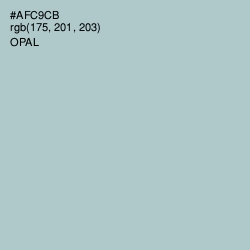 #AFC9CB - Opal Color Image