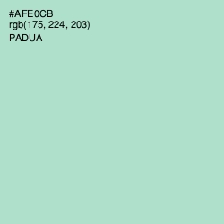 #AFE0CB - Padua Color Image