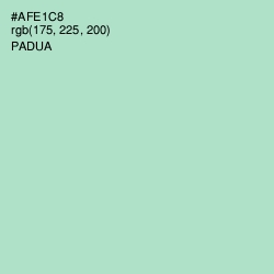 #AFE1C8 - Padua Color Image