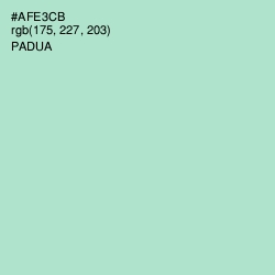 #AFE3CB - Padua Color Image