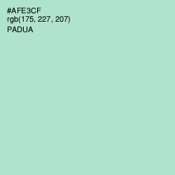 #AFE3CF - Padua Color Image