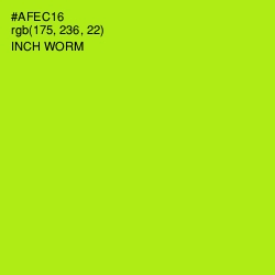 #AFEC16 - Inch Worm Color Image