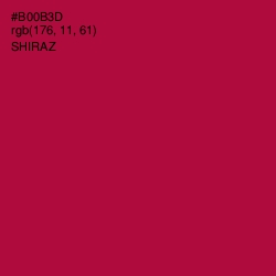 #B00B3D - Shiraz Color Image