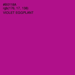 #B0118A - Violet Eggplant Color Image