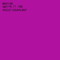 #B0119E - Violet Eggplant Color Image