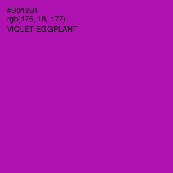 #B012B1 - Violet Eggplant Color Image