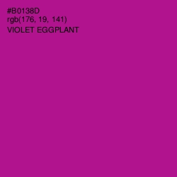 #B0138D - Violet Eggplant Color Image