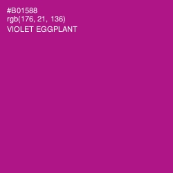 #B01588 - Violet Eggplant Color Image