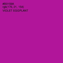 #B0159A - Violet Eggplant Color Image