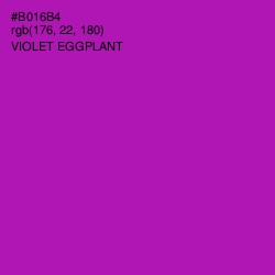 #B016B4 - Violet Eggplant Color Image