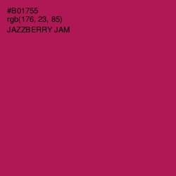 #B01755 - Jazzberry Jam Color Image