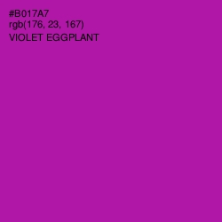 #B017A7 - Violet Eggplant Color Image